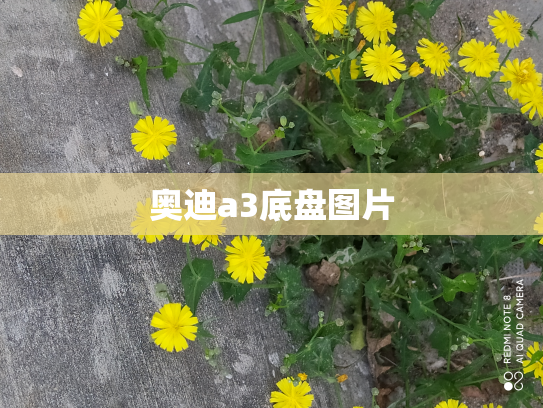 奥迪a3底盘图片