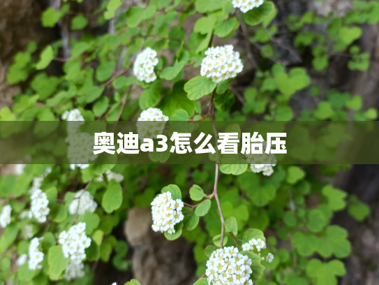 奥迪a3怎么看胎压