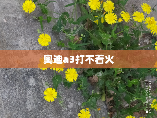 奥迪a3打不着火