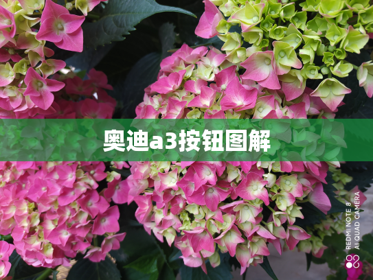 奥迪a3按钮图解