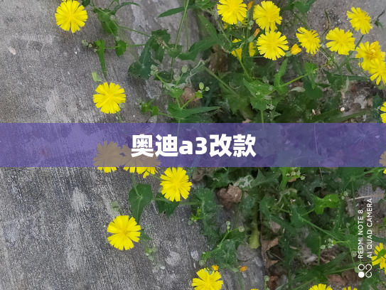 奥迪a3改款