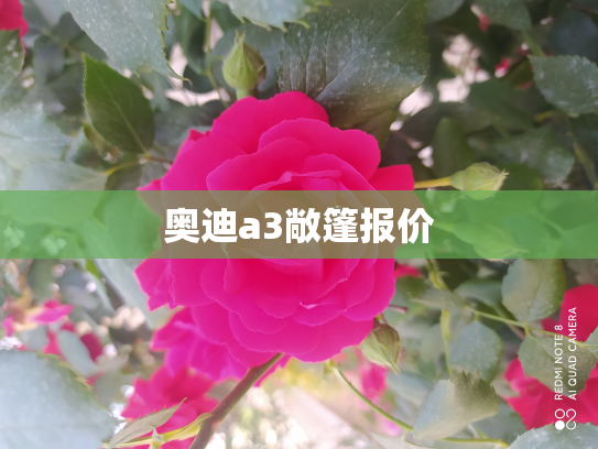 奥迪a3敞篷报价