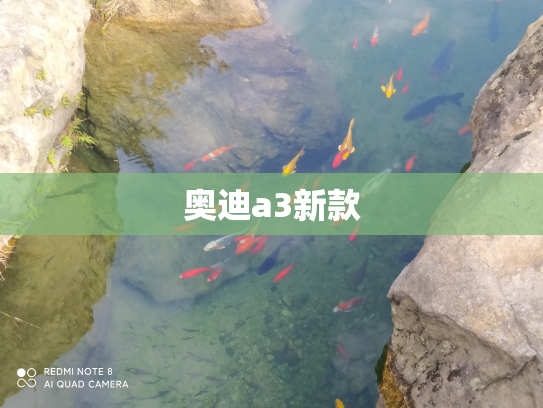 奥迪a3新款