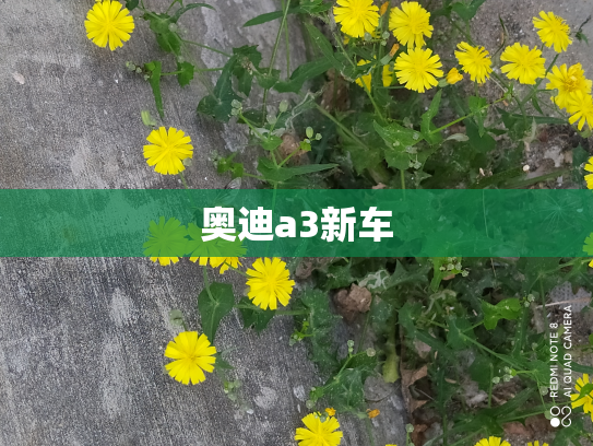 奥迪a3新车