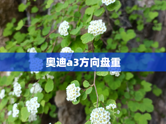 奥迪a3方向盘重