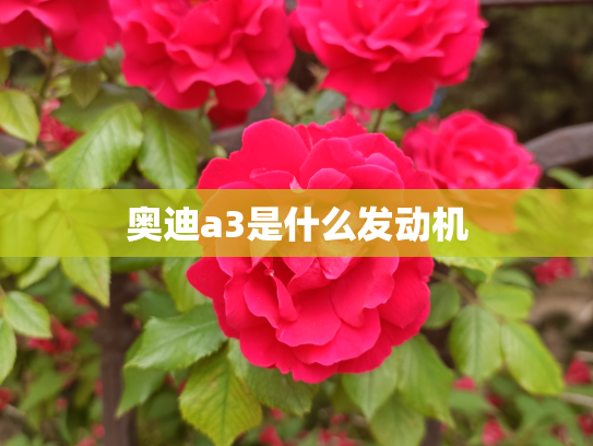奥迪a3是什么发动机