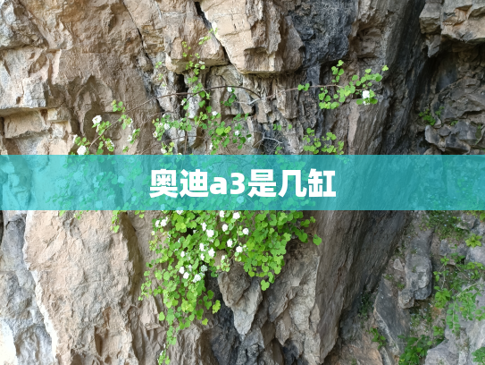 奥迪a3是几缸