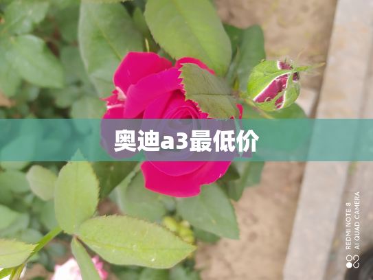 奥迪a3最低价
