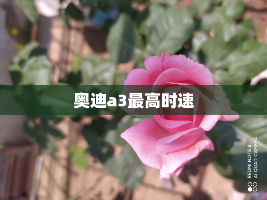 奥迪a3最高时速