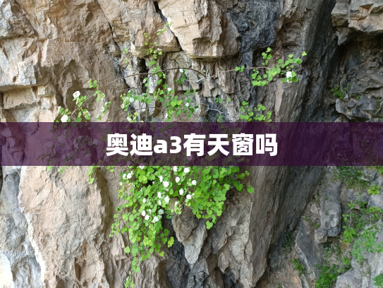 奥迪a3有天窗吗