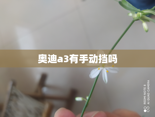 奥迪a3有手动挡吗
