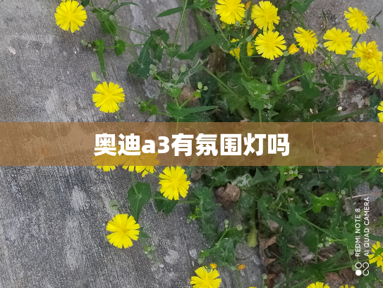 奥迪a3有氛围灯吗