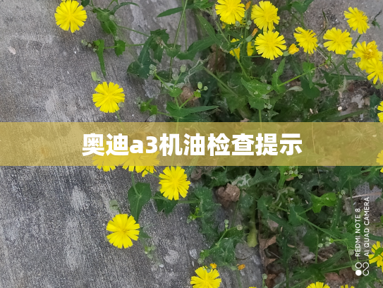 奥迪a3机油检查提示
