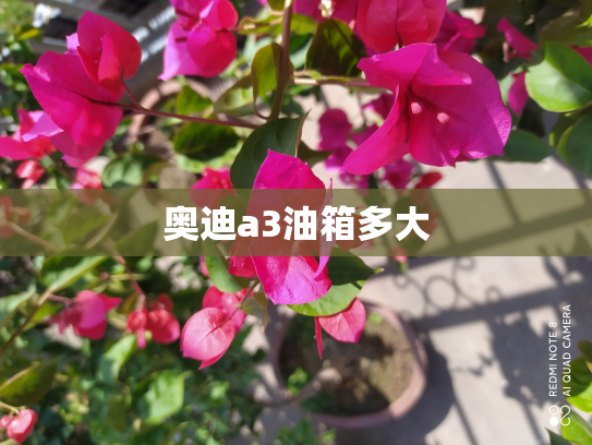 奥迪a3油箱多大