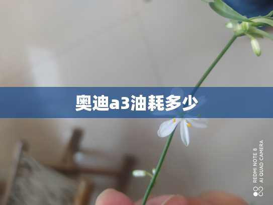 奥迪a3油耗多少