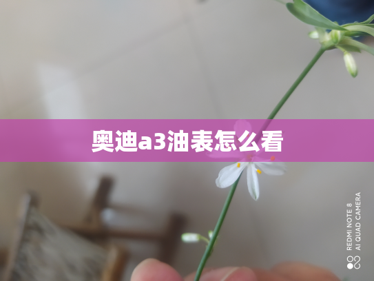 奥迪a3油表怎么看