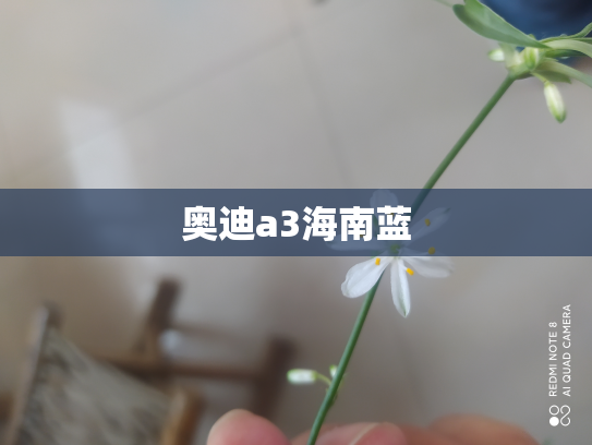 奥迪a3海南蓝
