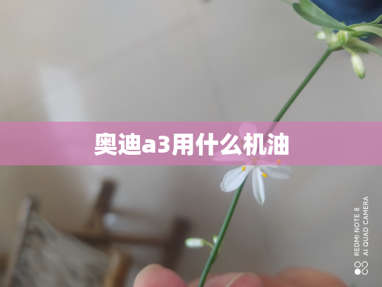 奥迪a3用什么机油