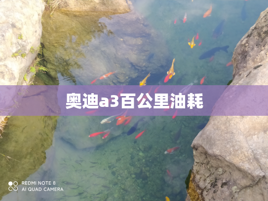 奥迪a3百公里油耗