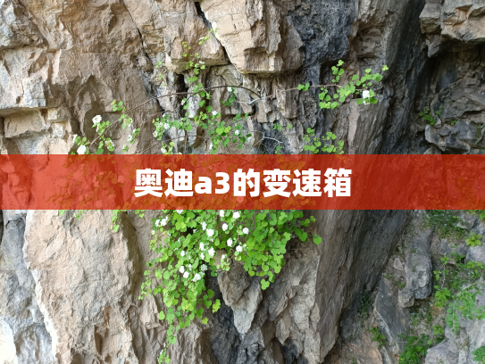 奥迪a3的变速箱