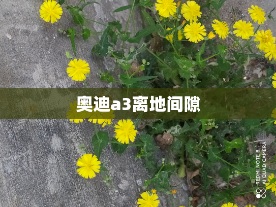 奥迪a3离地间隙