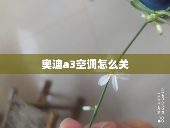 奥迪a3空调怎么关
