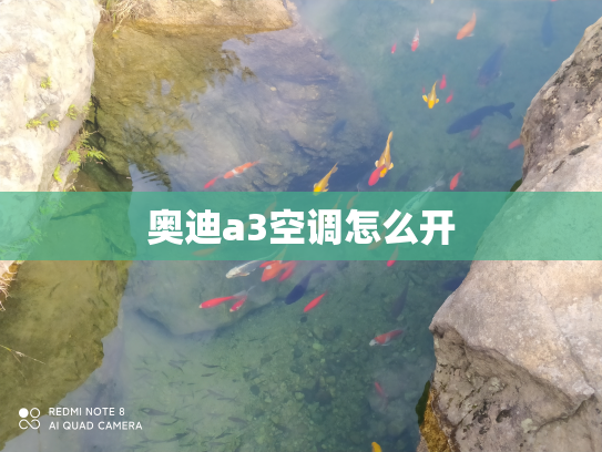 奥迪a3空调怎么开