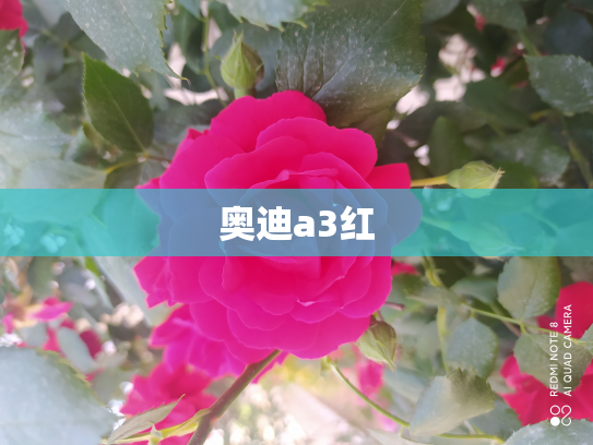 奥迪a3红