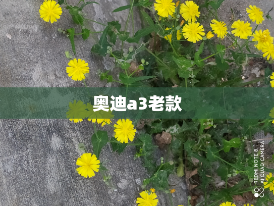 奥迪a3老款