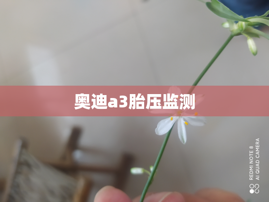 奥迪a3胎压监测