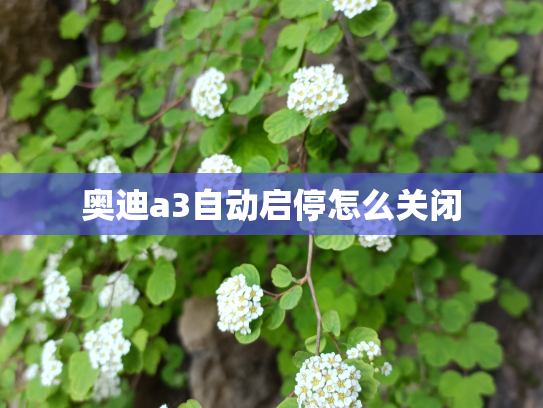 奥迪a3自动启停怎么关闭