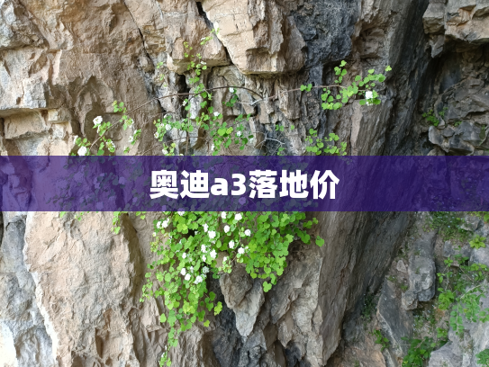 奥迪a3落地价
