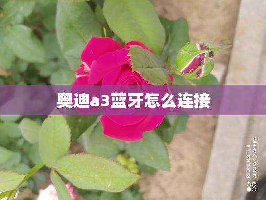 奥迪a3蓝牙怎么连接