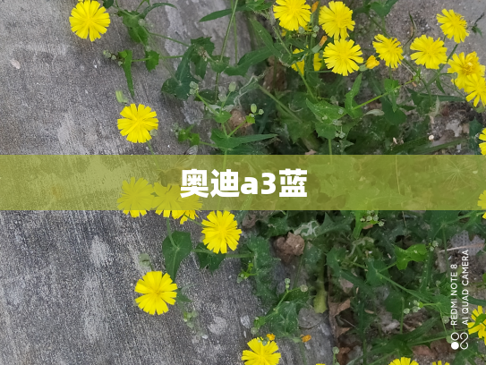 奥迪a3蓝