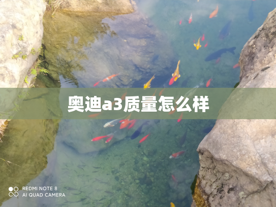 奥迪a3质量怎么样