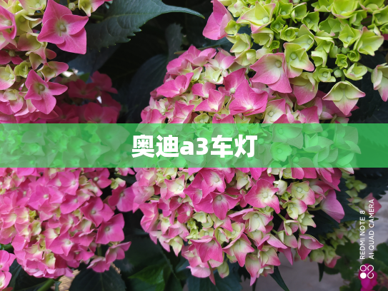 奥迪a3车灯