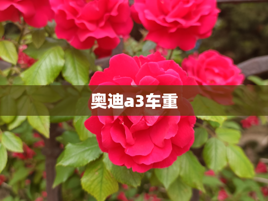 奥迪a3车重