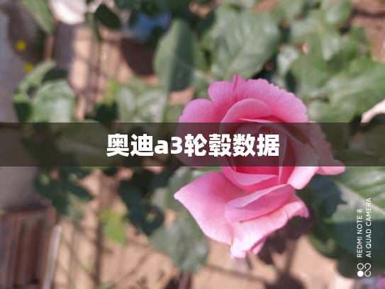 奥迪a3轮毂数据