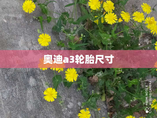 奥迪a3轮胎尺寸