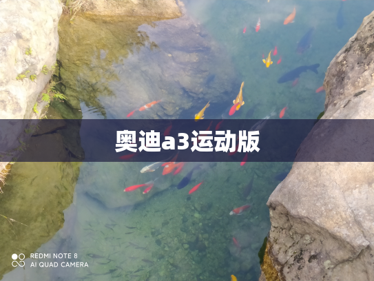 奥迪a3运动版