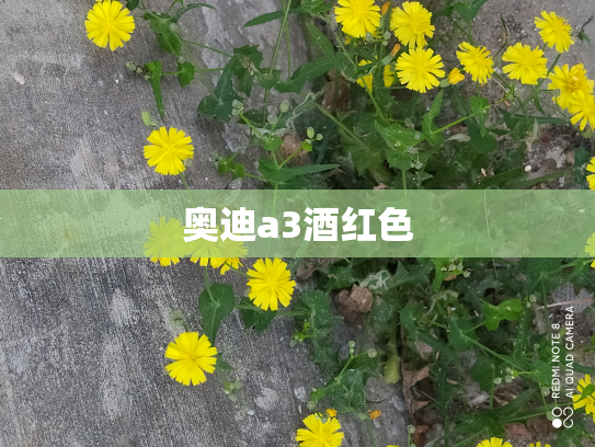 奥迪a3酒红色