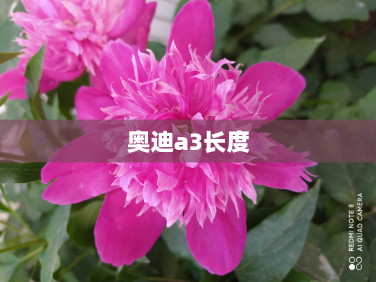 奥迪a3长度