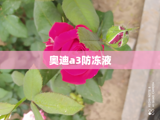 奥迪a3防冻液