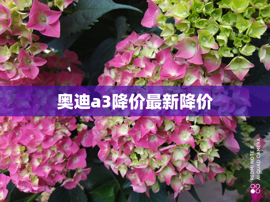 奥迪a3降价最新降价