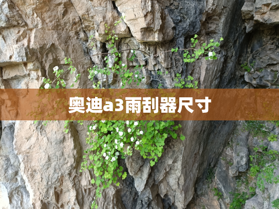 奥迪a3雨刮器尺寸