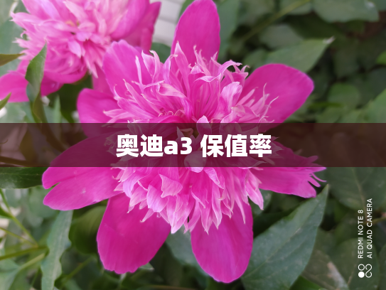 奥迪a3 保值率