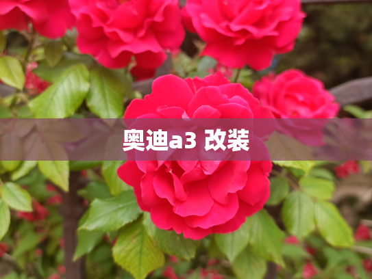 奥迪a3 改装
