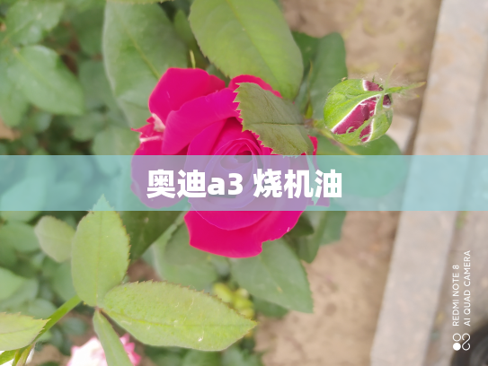 奥迪a3 烧机油