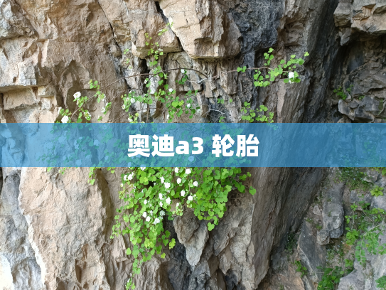 奥迪a3 轮胎