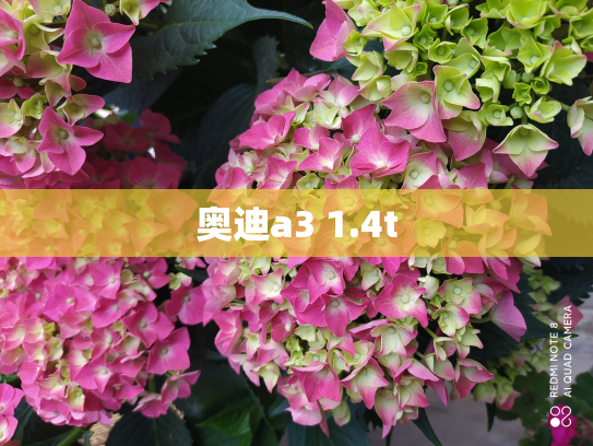奥迪a3 1.4t